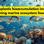 Microplastic bioaccumulation impacts threatening marine ecosystem food chains