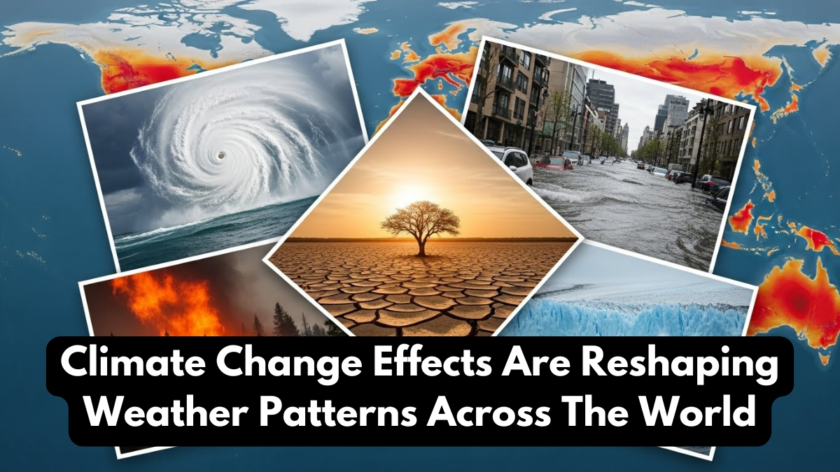 Climate Change Effects Are Reshaping Weather Patterns Across The World