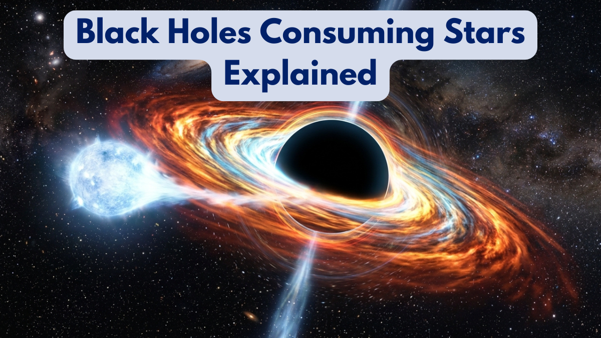 Black Holes Consuming Stars Explained